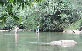Sumatra Rainforest Eco Retreat
